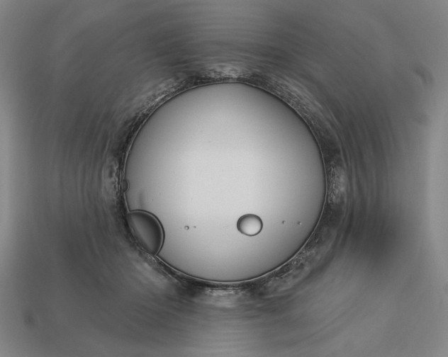 X0000113130414200909181713