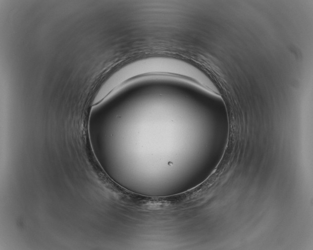 X0000113130415200909181713