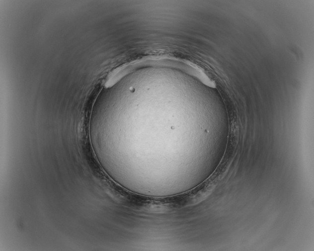 X0000113130416200909181713