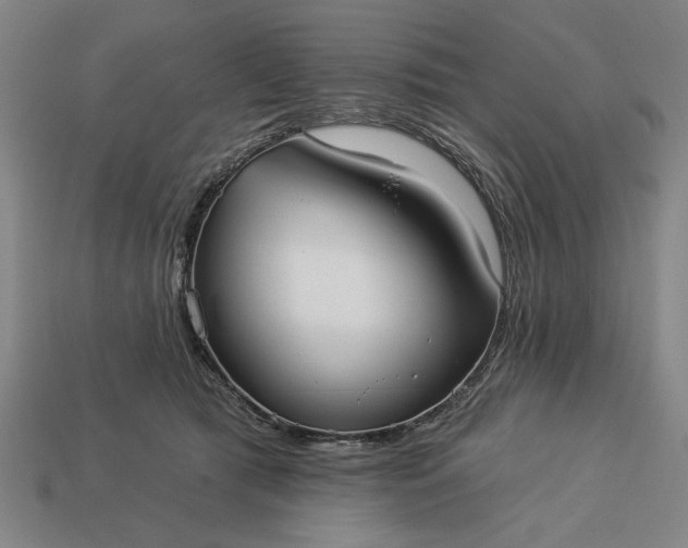 X0000113130417200909181713