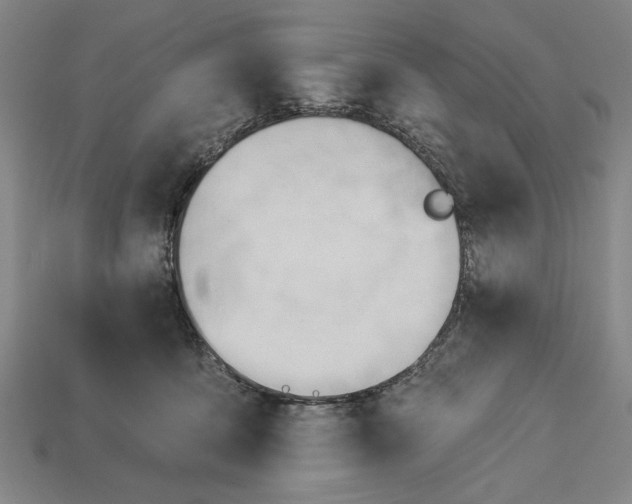 X0000113130419200909181713