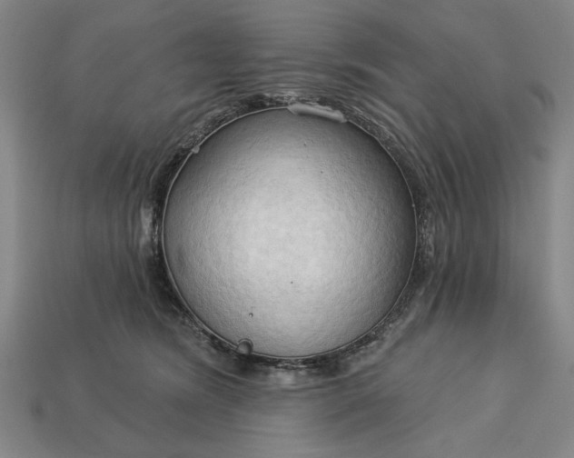 X0000113130420200909181713