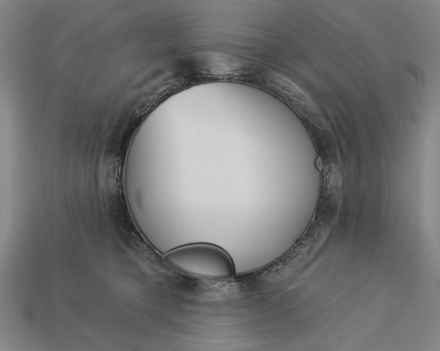 X0000113130421200909181713