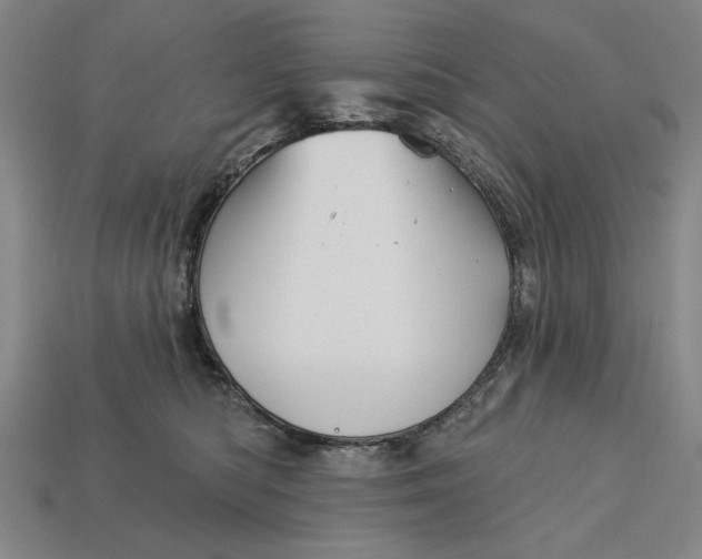 X0000113130422200909181713