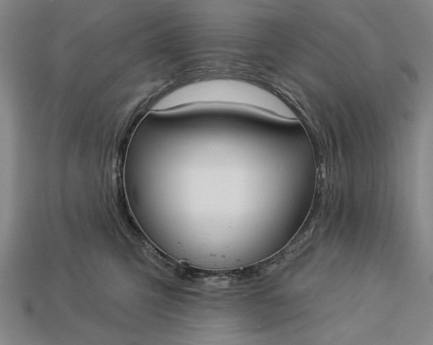 X0000113130423200909181713