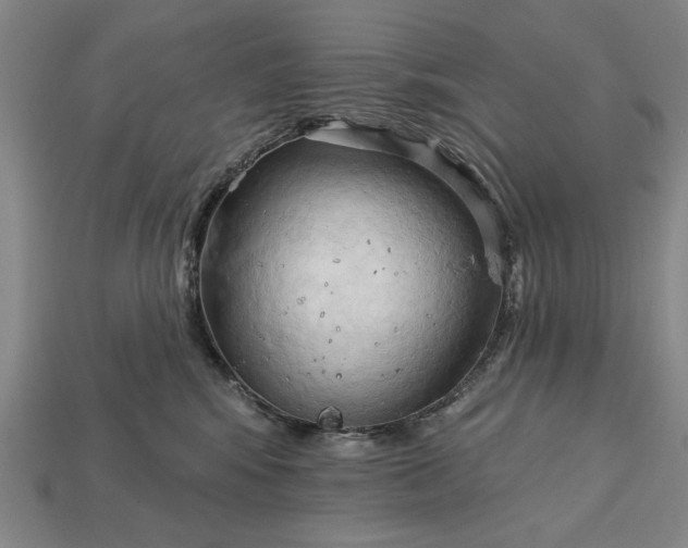 X0000113130424200909181713