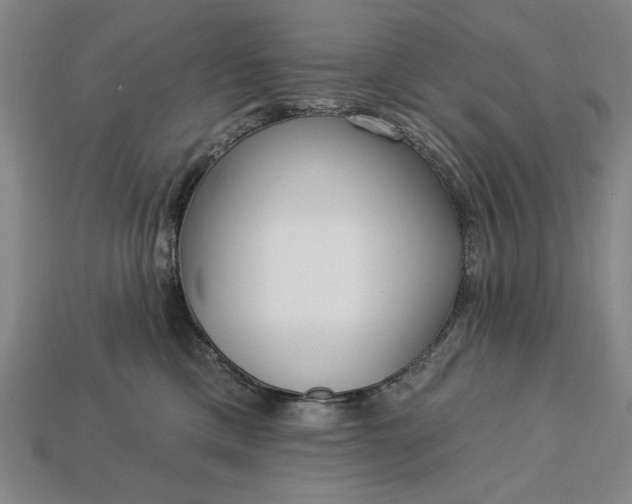 X0000113130425200909181713