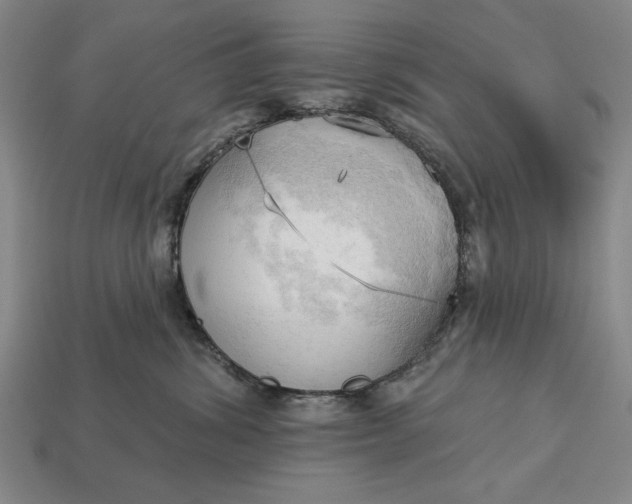 X0000113130428200909181713