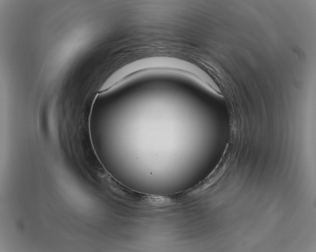 X0000113130429200909181713