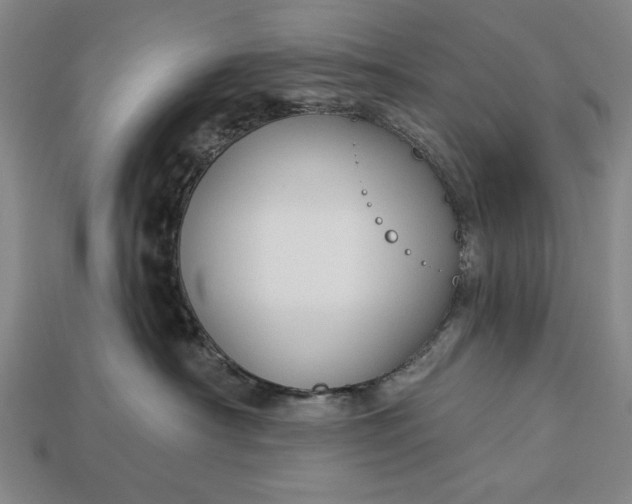 X0000113130430200909181713