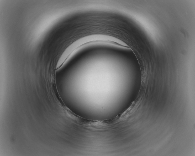 X0000113130431200909181713