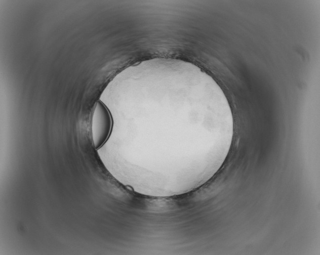 X0000113130432200909181713