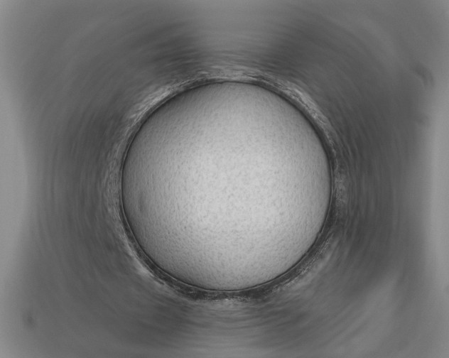 X0000113130433200909181712