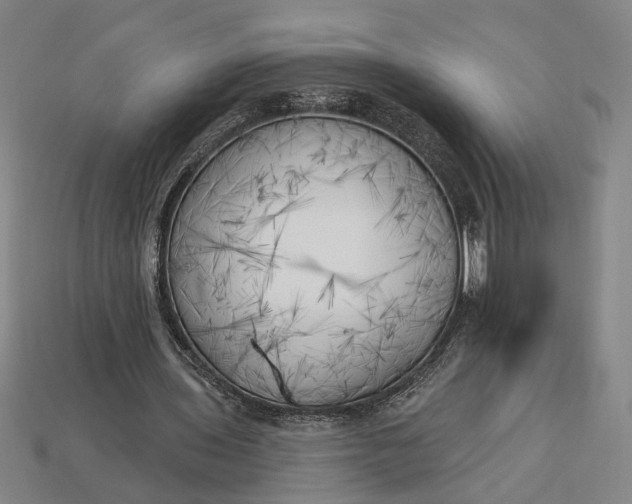 X0000113130435200909181712