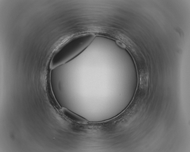 X0000113130436200909181712