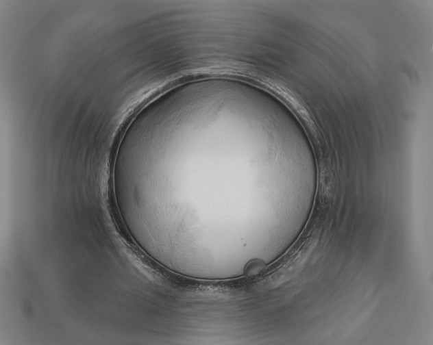 X0000113130437200909181712