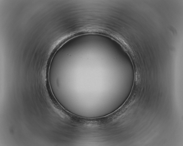 X0000113130438200909181712