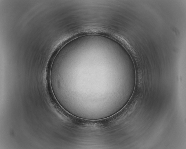 X0000113130439200909181712