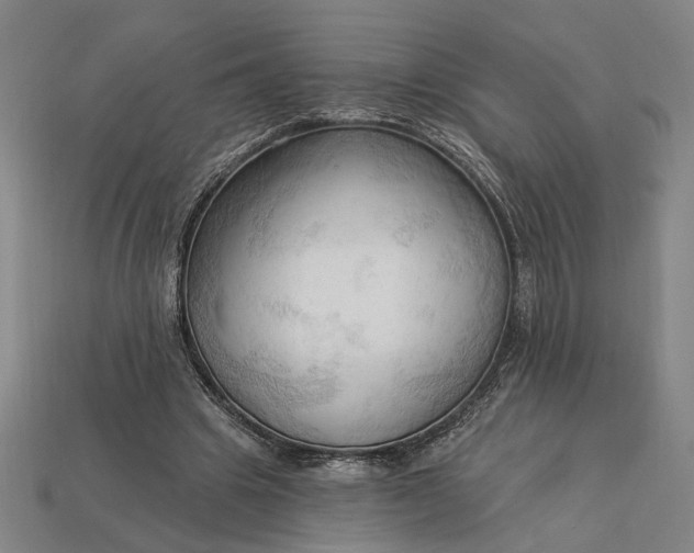 X0000113130441200909181712