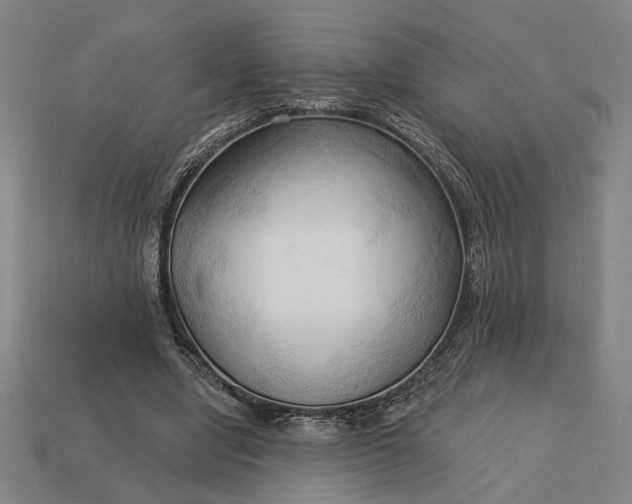 X0000113130442200909181712