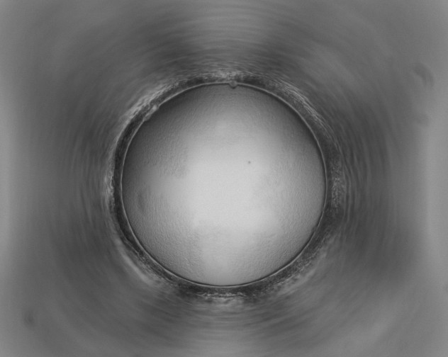 X0000113130443200909181712