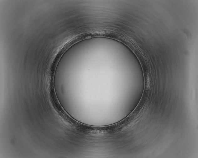 X0000113130444200909181712