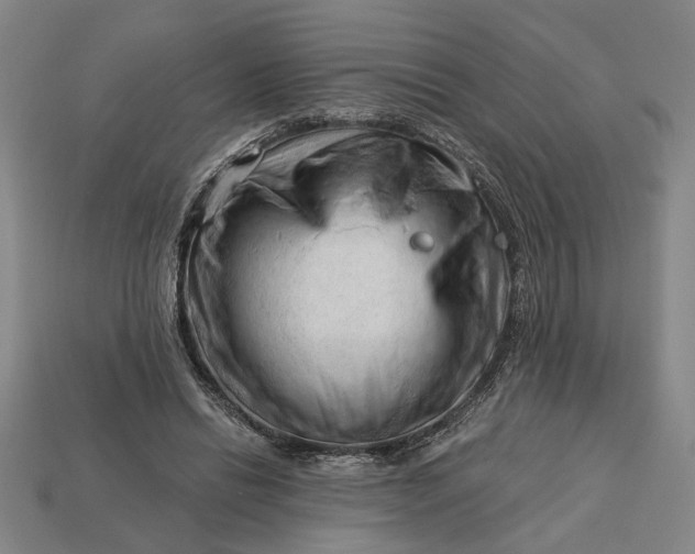 X0000113130446200909181712