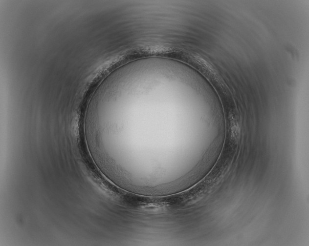 X0000113130447200909181712