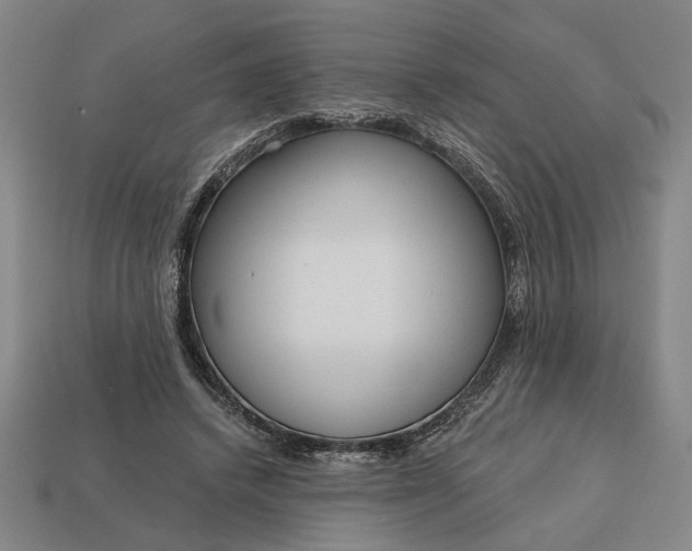 X0000113130448200909181712