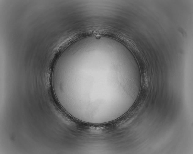 X0000113130450200909181713