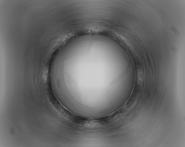 X0000113130451200909181713