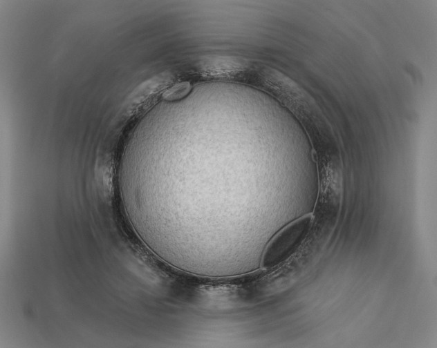 X0000113130452200909181713