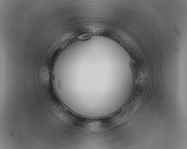 X0000113130456200909181713