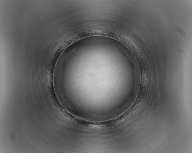 X0000113130457200909181713