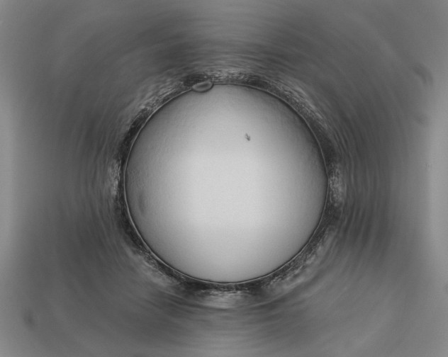 X0000113130458200909181713