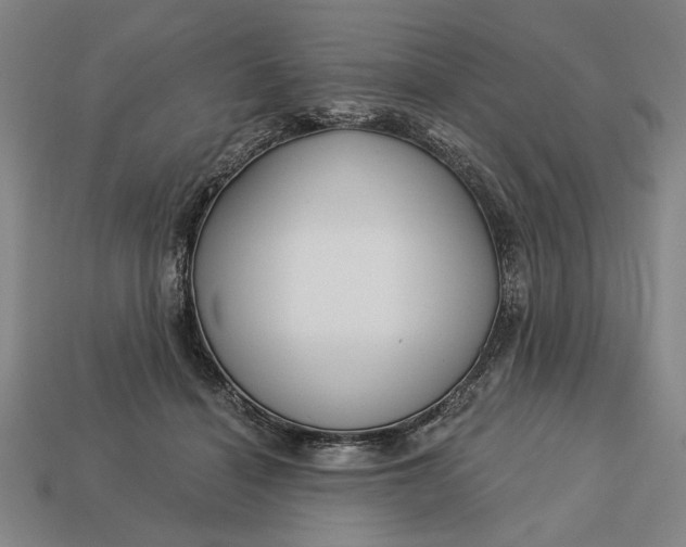 X0000113130460200909181713