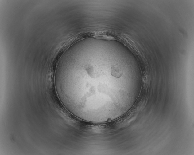 X0000113130462200909181713