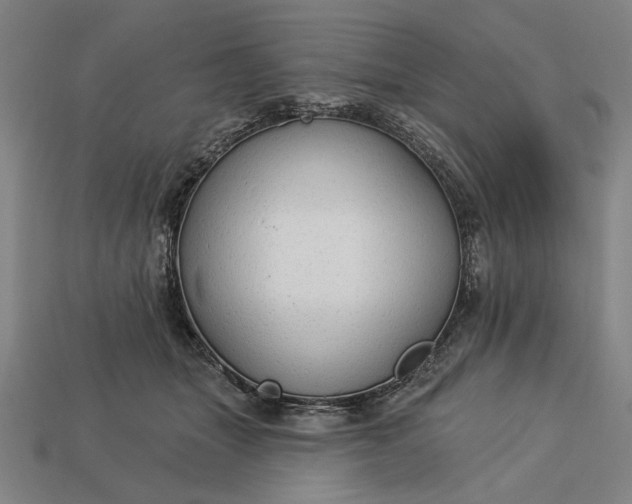 X0000113130463200909181713