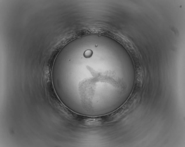 X0000113130465200909181713