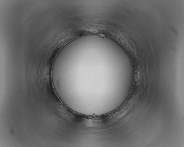 X0000113130466200909181713