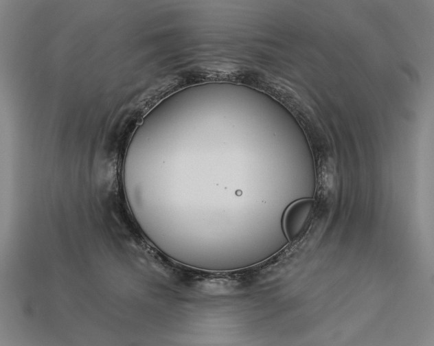 X0000113130468200909181713