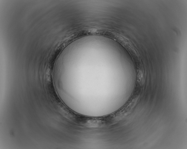 X0000113130470200909181713