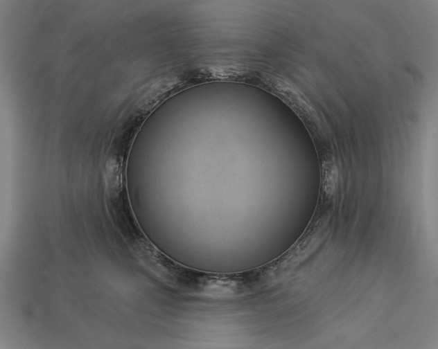 X0000113130471200909181713