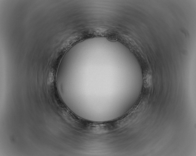 X0000113130472200909181713