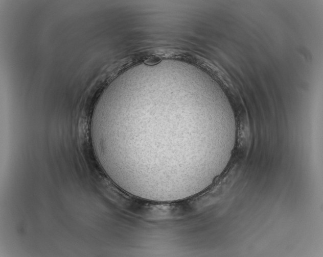 X0000113130473200909181713