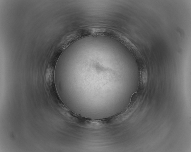 X0000113130475200909181713