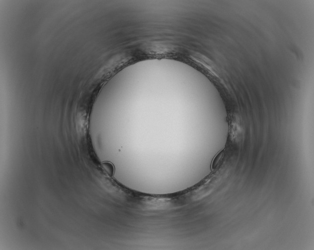 X0000113130476200909181713