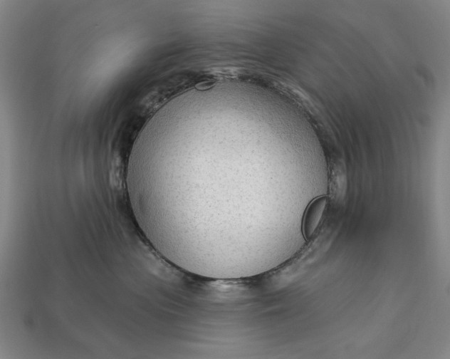 X0000113130477200909181713