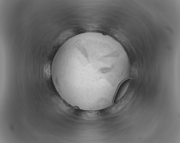 X0000113130479200909181713