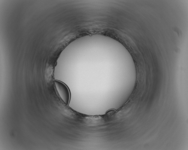 X0000113130480200909181713